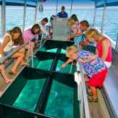 Glass Bottom Boat Tour