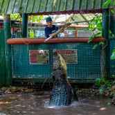 Marineland Melanesia